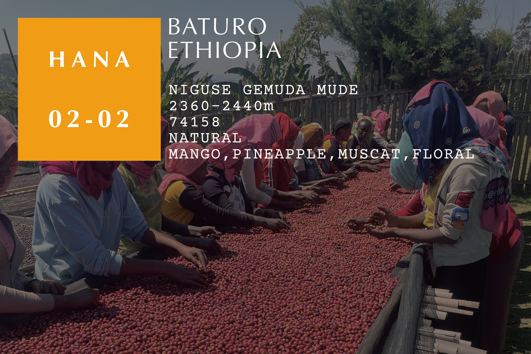 Baturo - Ethiopia