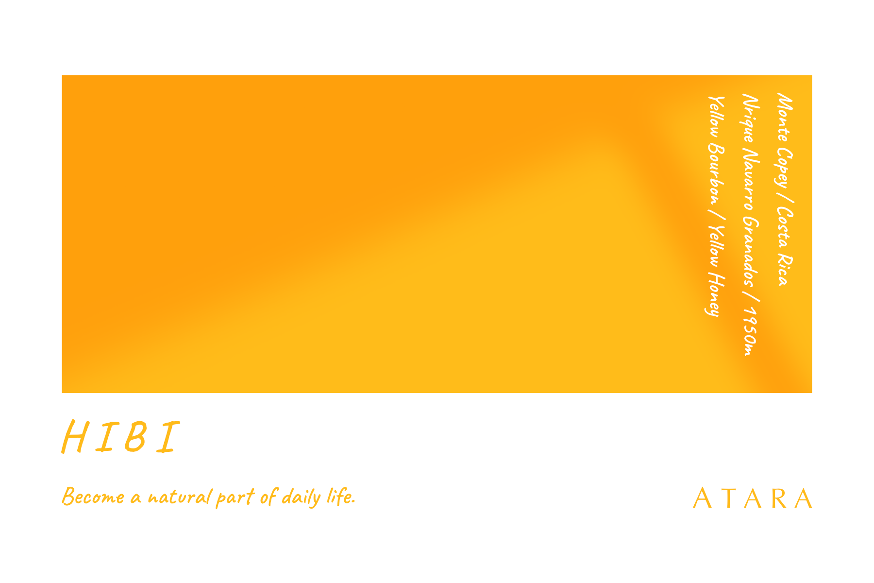 Monte Copey / Costa Rica