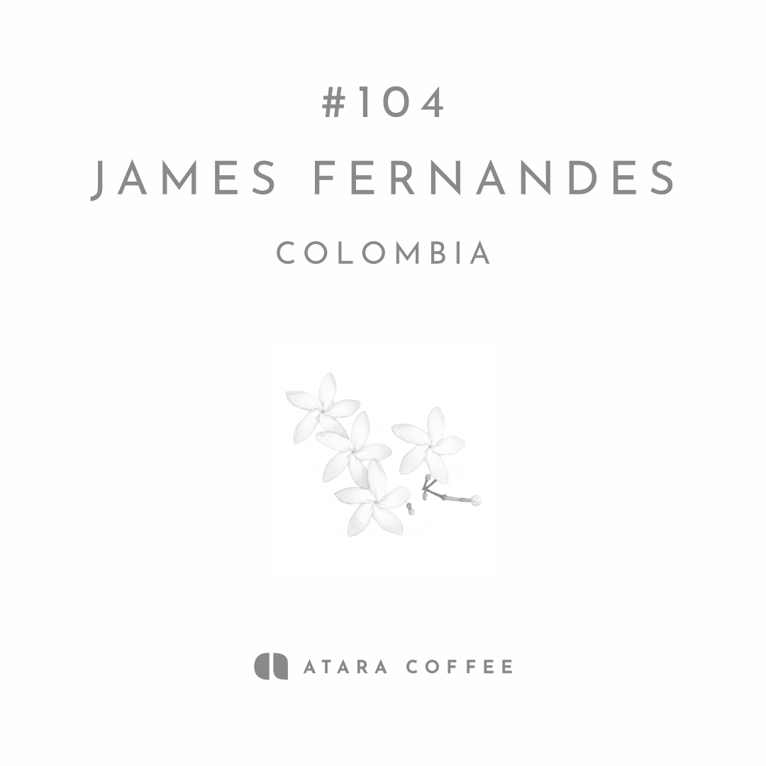 【繊細かつ複雑でユニーク】JAMES FELNANDES - COLOMBIA / SUDAN RUME - WASHED
