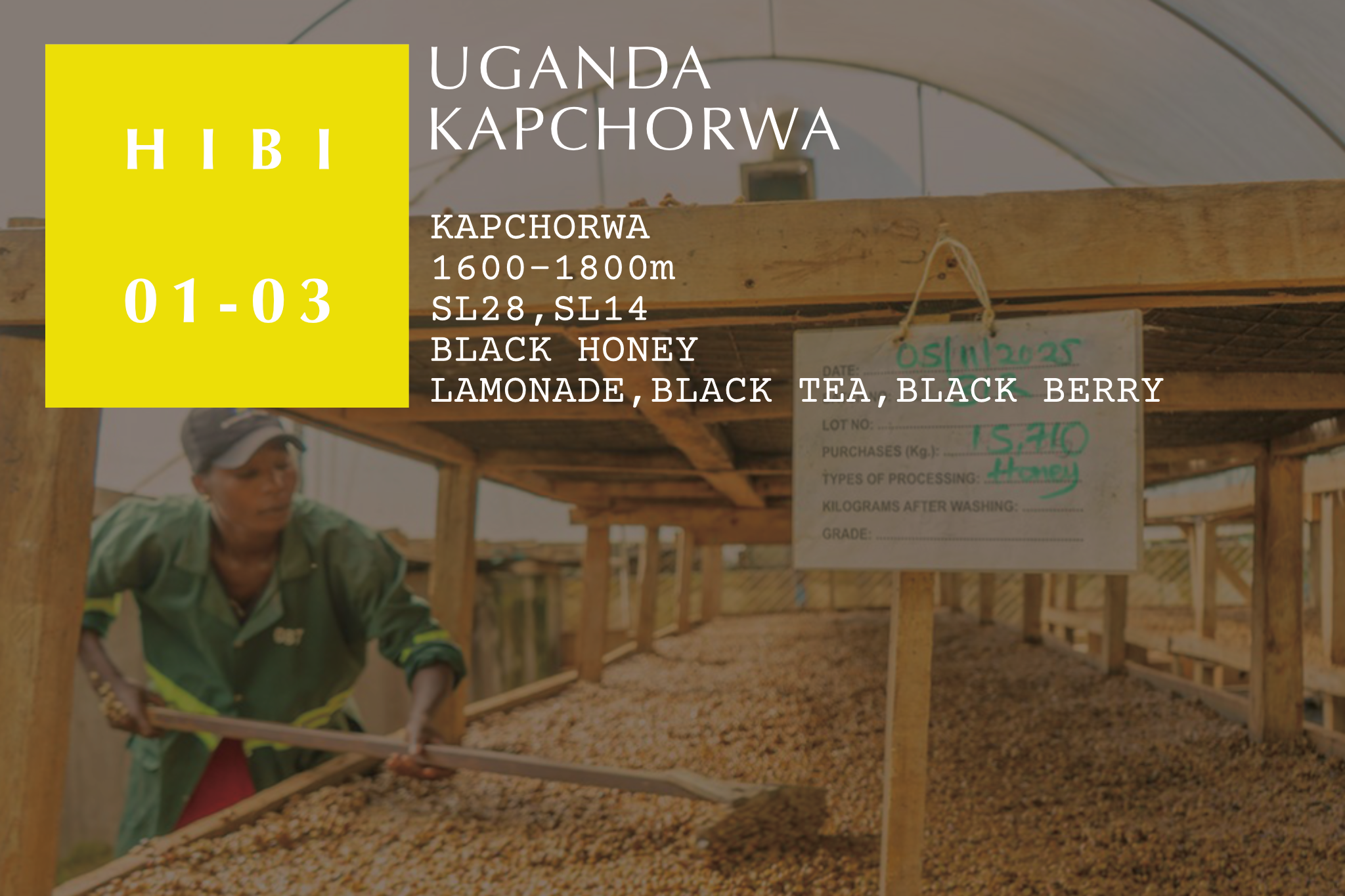 Kapchorwa - Uganda