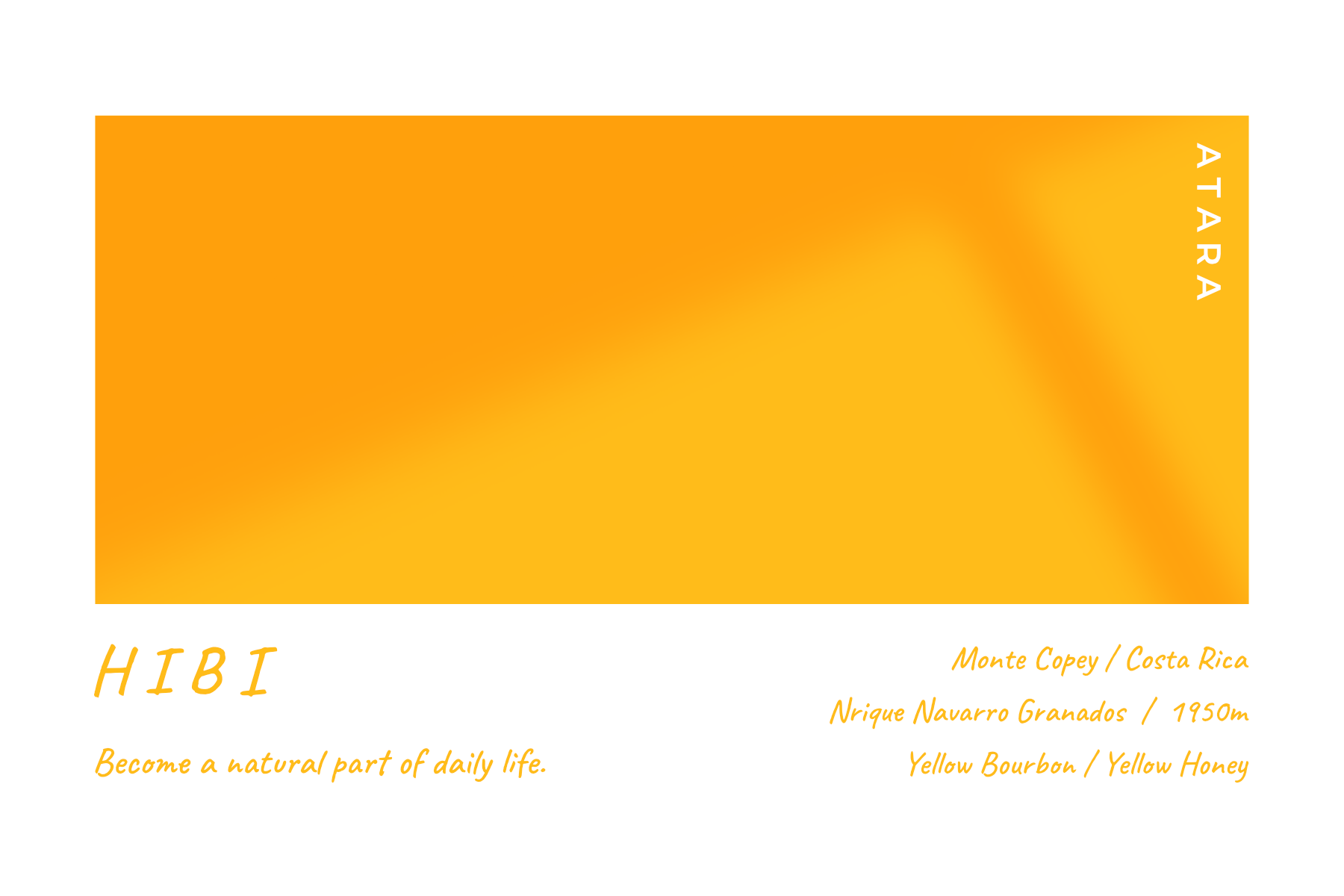 Monte Copey / Costa Rica