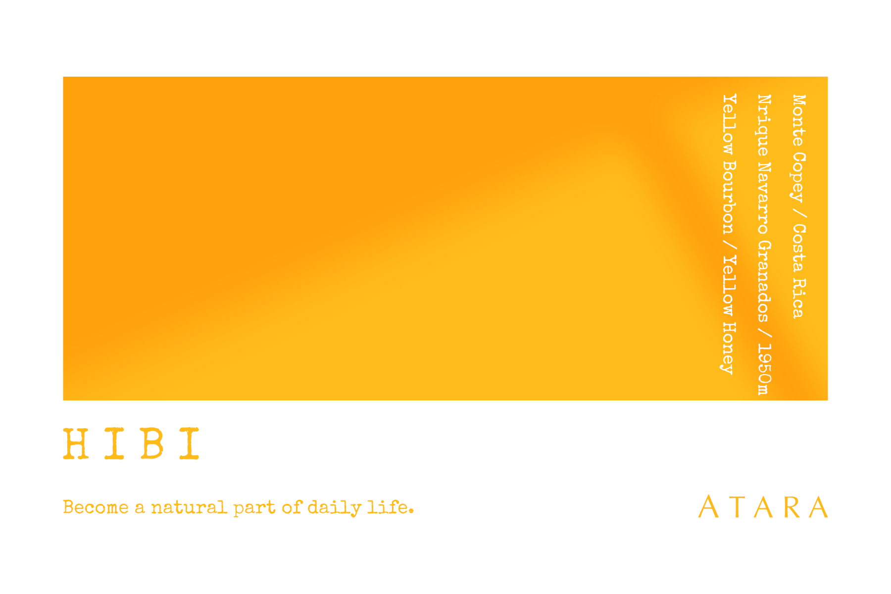 Monte Copey / Costa Rica