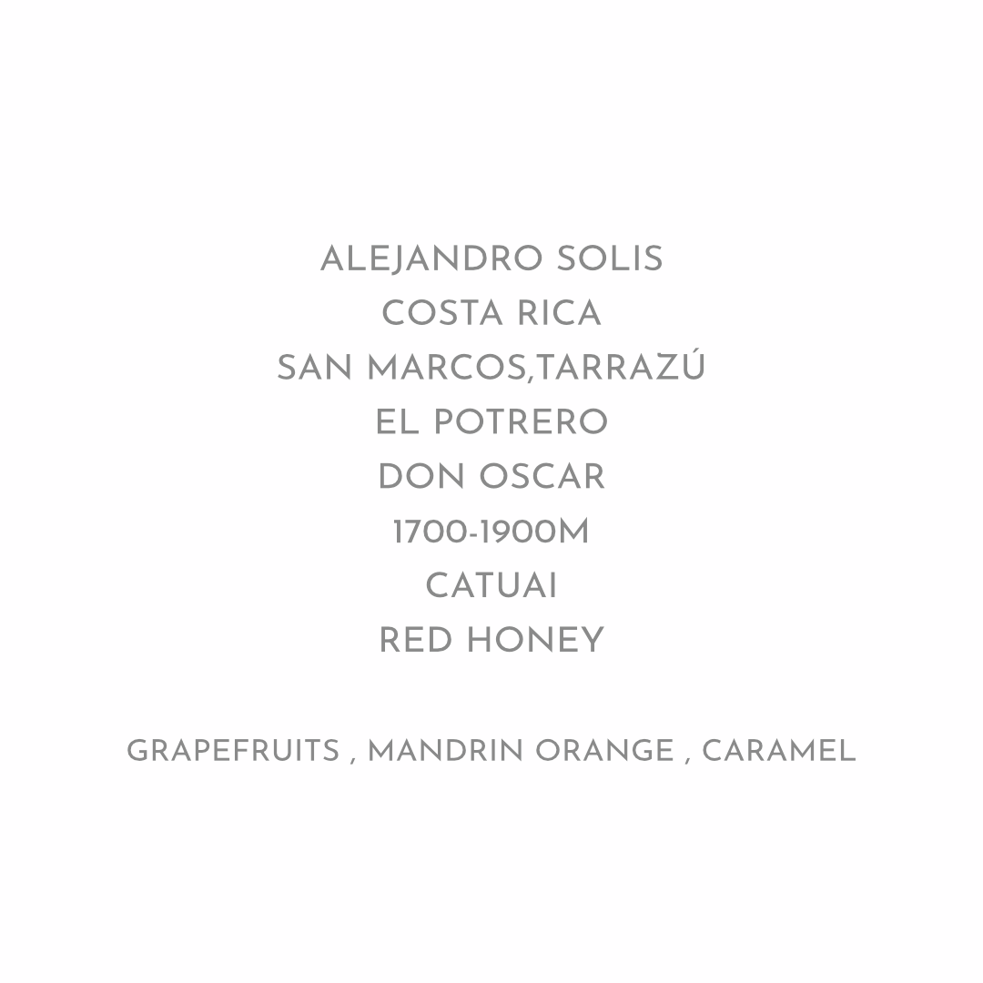 【甘い香りとスルスルした飲み心地】ALEJANDRO SOLIS - COSTA RICA / CATUAI - RED HONEY