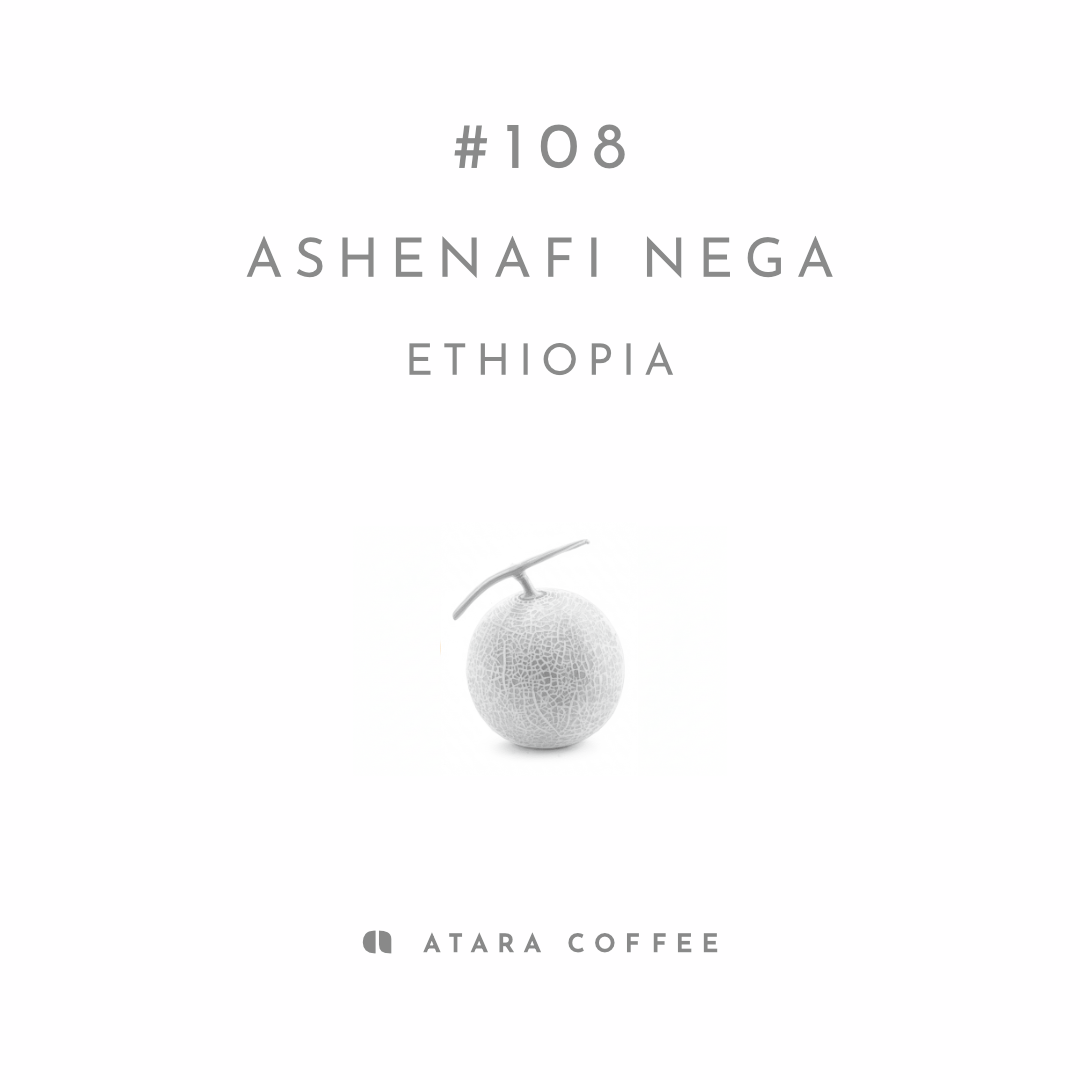 【甘い香りに優しい味わい】ASHENAFI NEGA - ETHIOPIA / DEGA - NATURAL