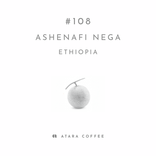 【残りわずか】ASHENAFI NEGA