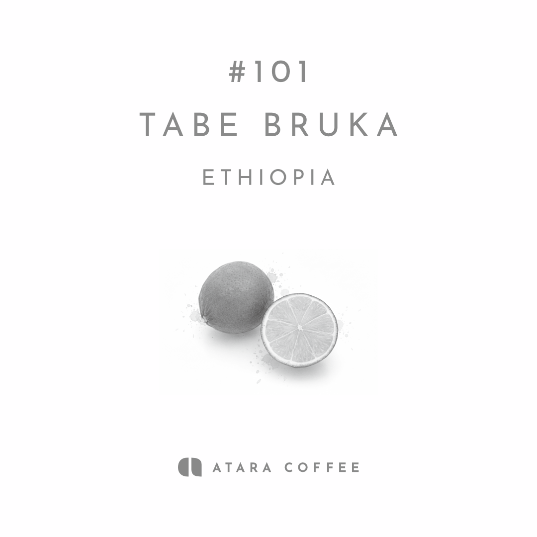残りわずか【柑橘にスパイシーなアクセント】TABE BRUKA - ETHIOPIA / HEIRLOOM WASHED