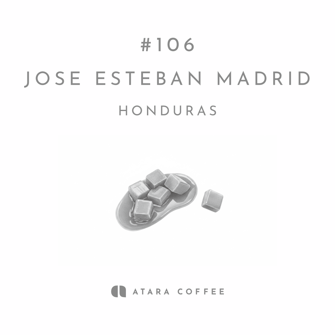 【複雑でしっかりした甘さのデイリーパカス】JOHE ESTEBAN MADRID - HONDURAS / PACAS - ANAEROBIC WASHED