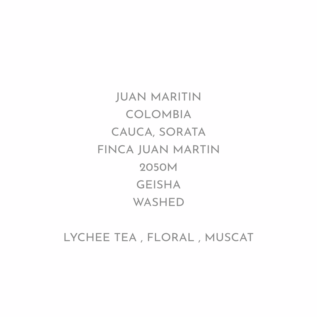 残り2点！【ライチティーの爽やかなゲイシャ】JUAN MARTIN - COLOMBIA / GEISHA WASHED