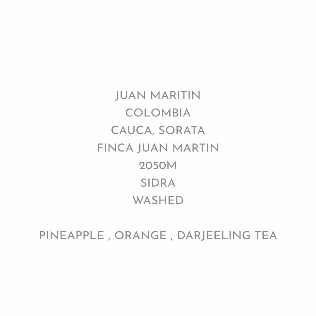 【トロピカルでリッチな口当たり】JUAN MARTIN - COLOMBIA / SIDRA WASHED