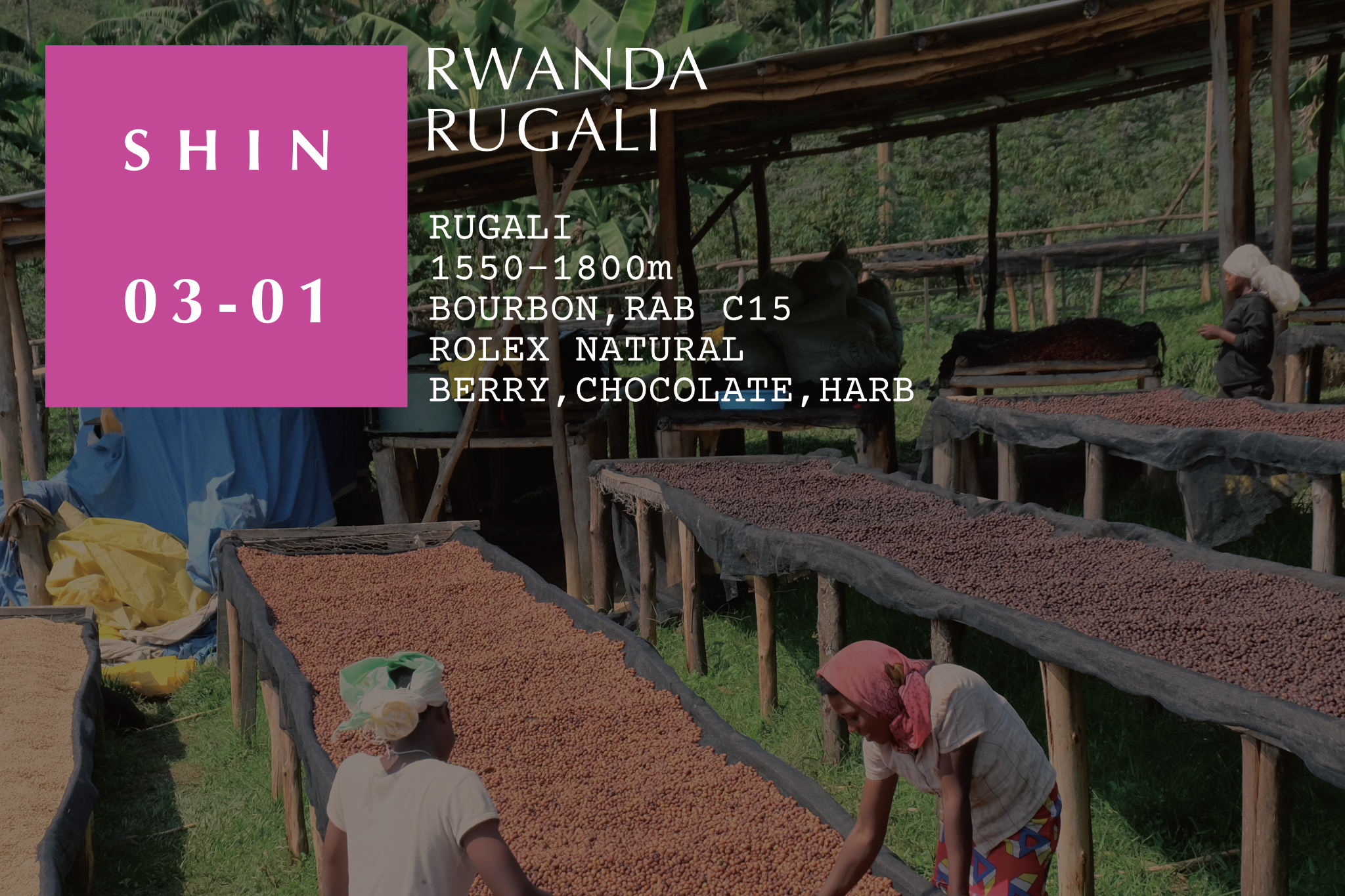 Rugali - Rwanda / Rolex Natural