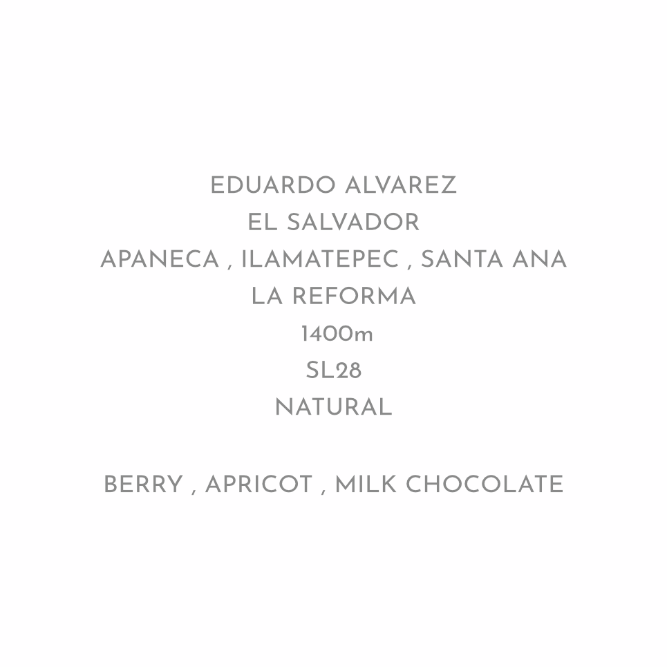 【飲み頃豆】OUTLET BEANS