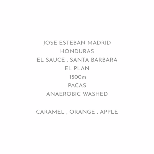 残りわずか【複雑でしっかりした甘さのデイリーパカス】JOHE ESTEBAN MADRID - HONDURAS / PACAS - ANAEROBIC WASHED
