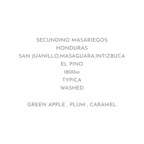 残り僅か【爽やかさと厚みある口当たり】SECUNDINO MASARIEGOS - HONDURAS / TYPICA - WASHED