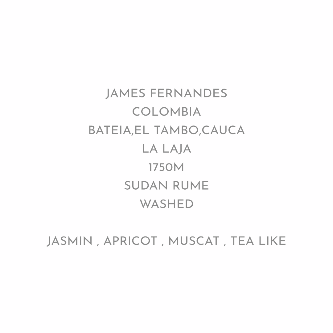 【繊細かつ複雑でユニーク】JAMES FELNANDES - COLOMBIA / SUDAN RUME - WASHED