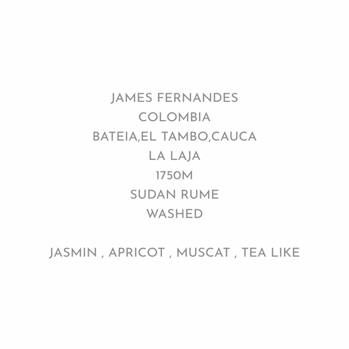 残り僅か【繊細かつ複雑でユニーク】JAMES FELNANDES - COLOMBIA / SUDAN RUME - WASHED