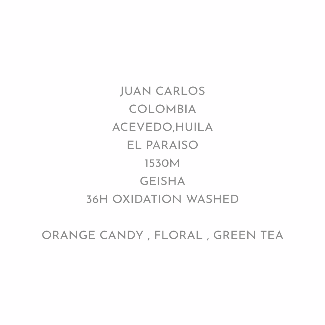 【じんわり広がるオレンジキャンディの甘さ】JUAN CARLOS - COLOMBIA / GEISHA WASHED