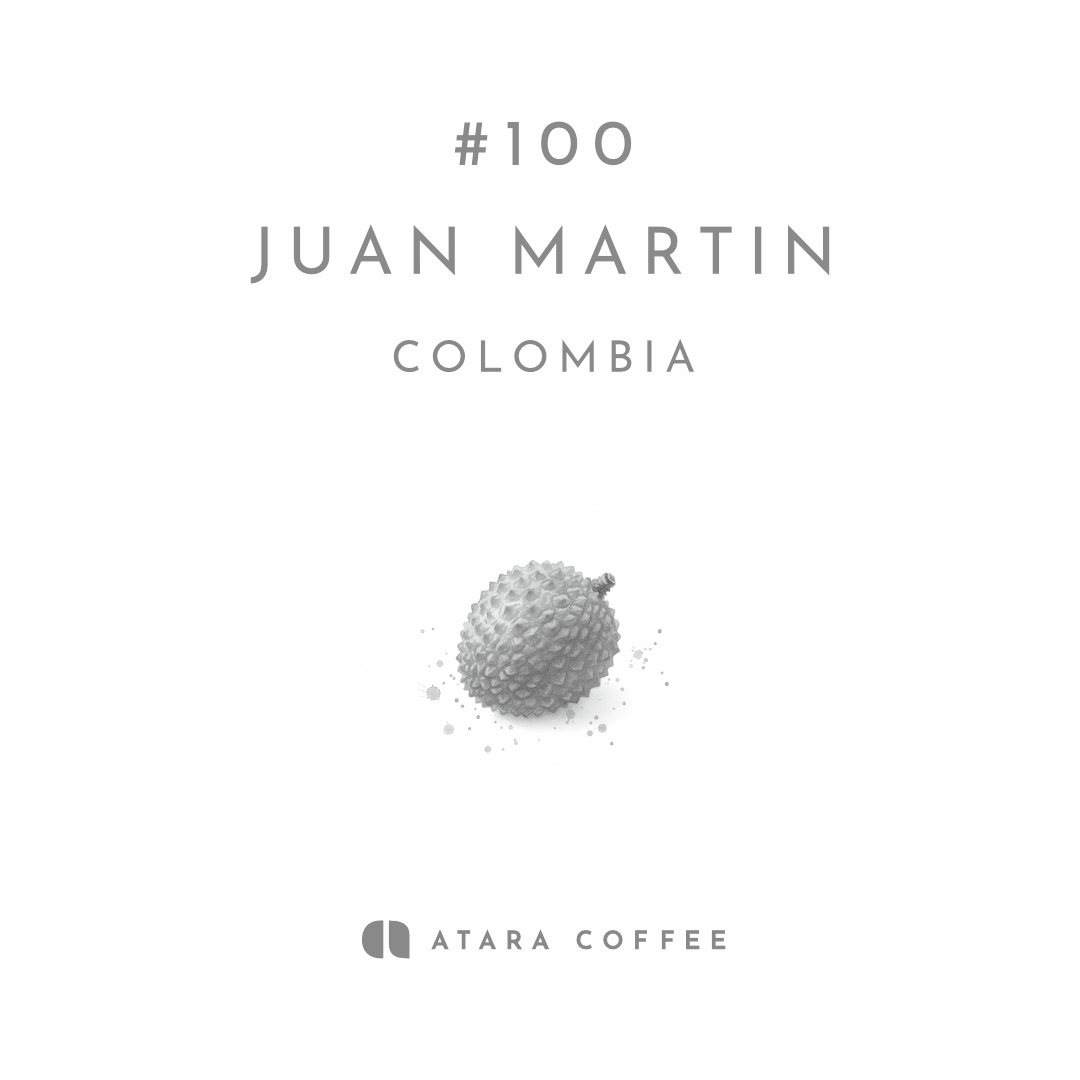 残り2点！【ライチティーの爽やかなゲイシャ】JUAN MARTIN - COLOMBIA / GEISHA WASHED