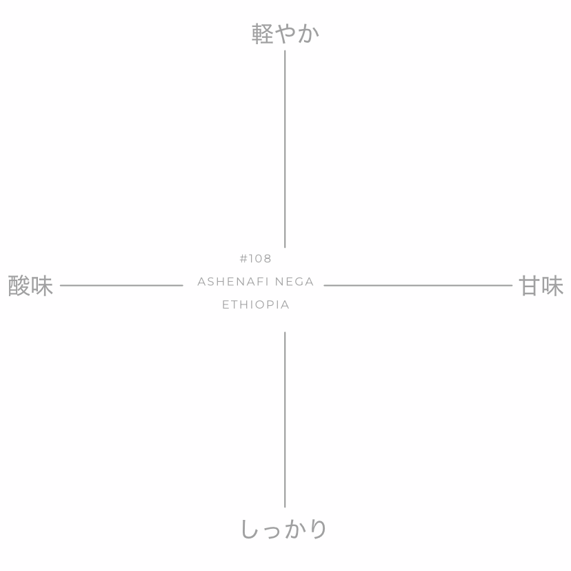 【残りわずか】ASHENAFI NEGA