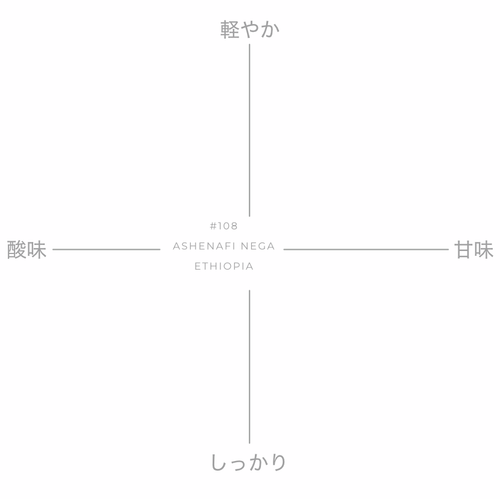 【残りわずか】ASHENAFI NEGA