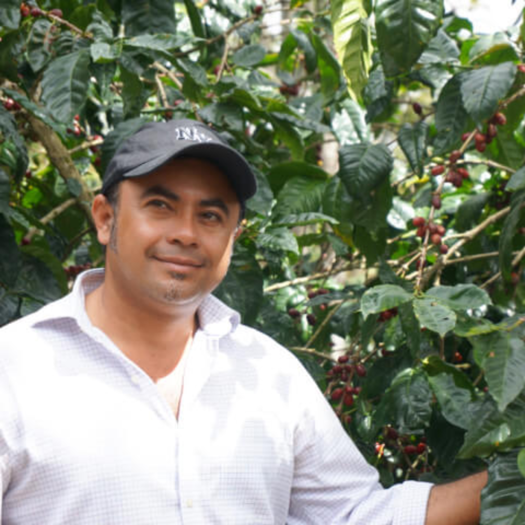 【華やかでジューシー】LUIS EMILIO VALLADAREZ - NICARAGUA / MARACATURRA - NATURAL